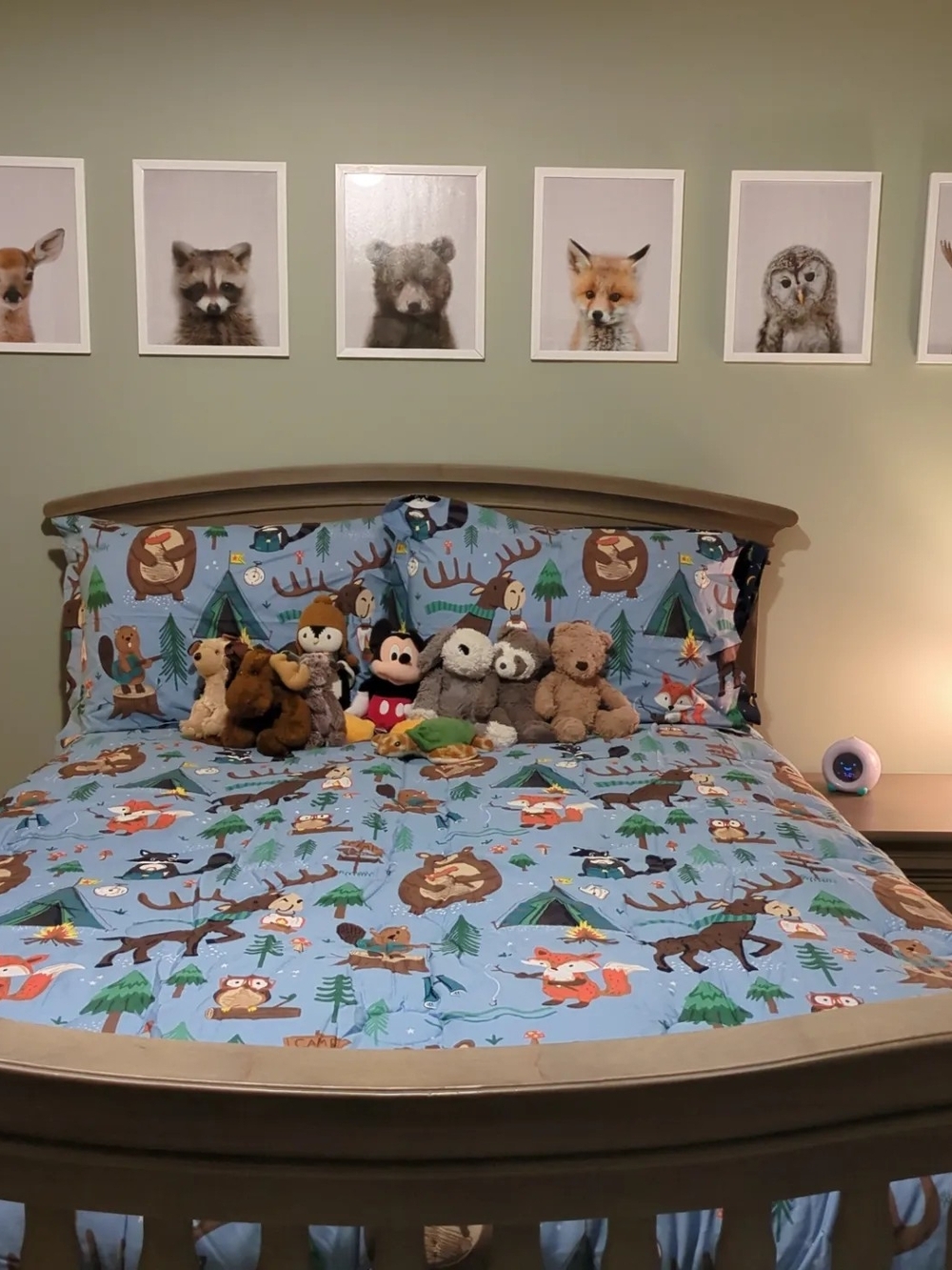 Kids Blue Woodland Animal Bedding Set by The Company Store